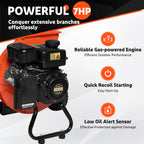 EFCUT 3 in 1 Wood Chipper Shredder Mulcher, 2 Hoppers Multi-Function, 7HP 212cc Heavy Duty Gas Powered, 3" Inch Max Wood Diameter Capacity, Included Debris Bag - EFCUT