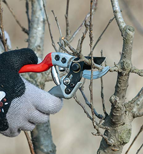 EFCUT ETA2003 Professional Premium Bypass Pruning Shears, Hand Pruners, Garden Clippers ETA2003 - EFCUT